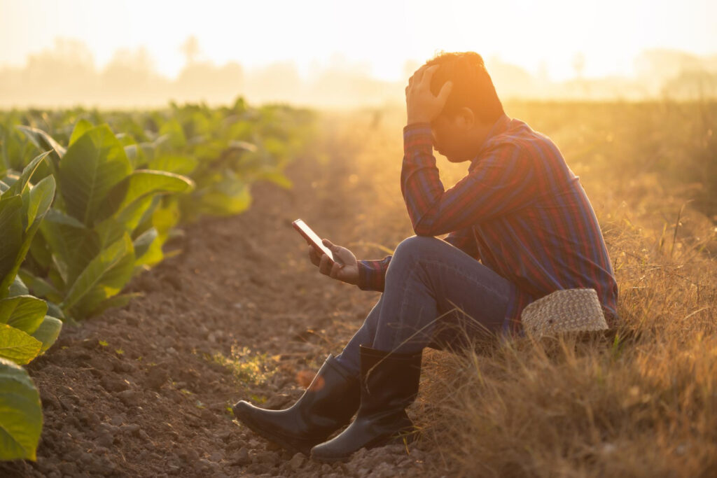 Imposto Territorial Rural (ITR) principais erros na declaração